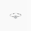 Bree Ring